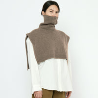 Knit Turtleneck Vest - FW25 - Taupe