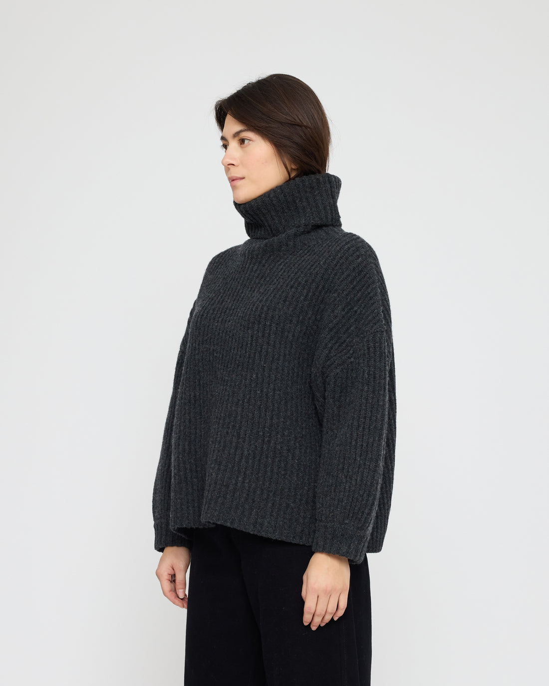 Chunky Ribbed Turtleneck Sweater - FW26 - Charcoal