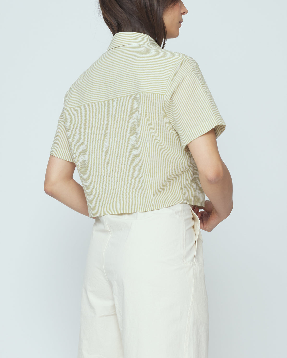 Striped Cropped Shirt - SS26 - Mustard Stripes